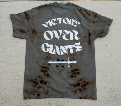 David Beats Goliath T Shirt